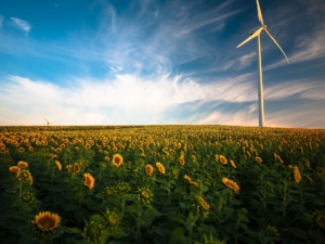 Energetische Sanierung EFH